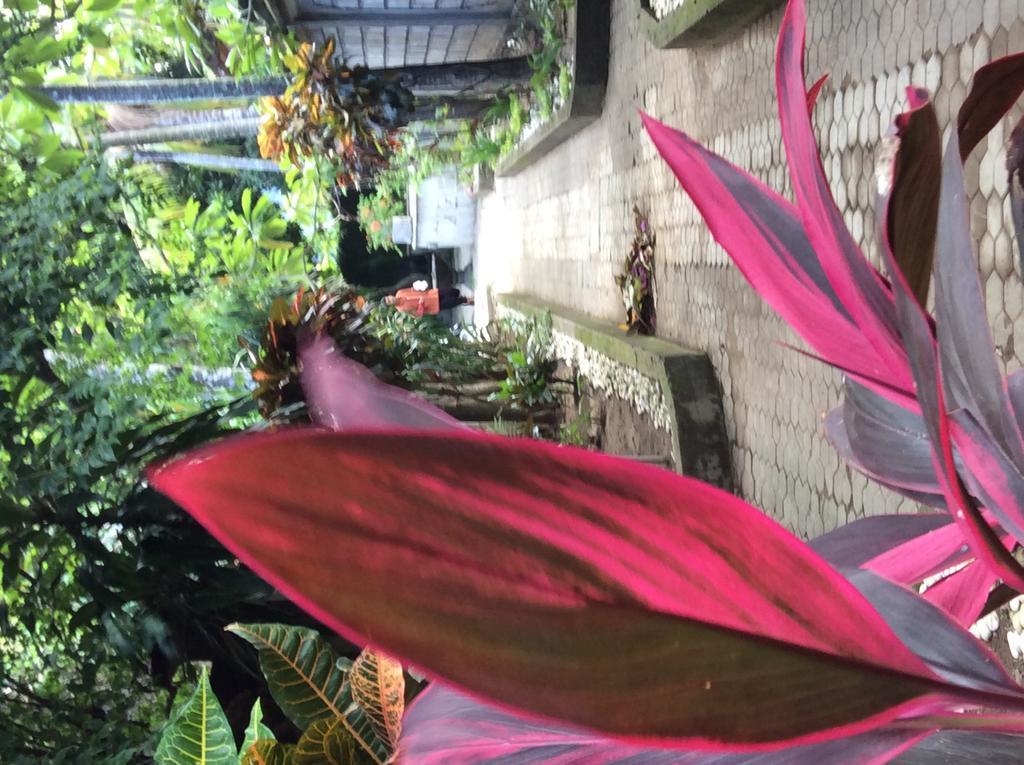Legian Bali Guest Villas מראה חיצוני תמונה